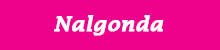 Nalgonda