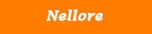 Nellore